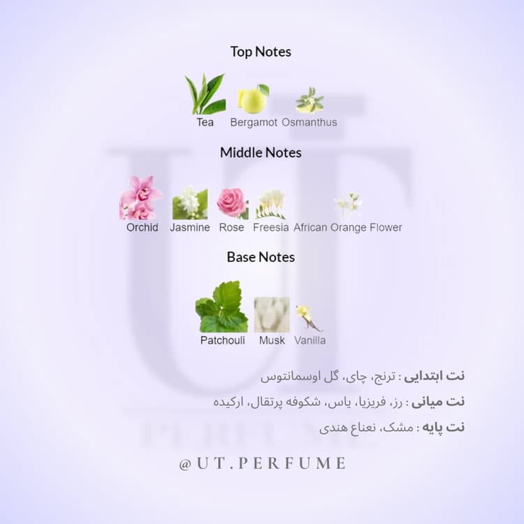 عطر ویکتور اند رولف فلاور بمب زنانه | VIiktor&Rolf – Flower Bomb — تصویر ۳
