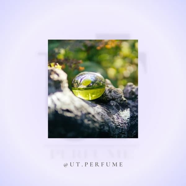 عطر دی کی ان وای بی دلیشز زنانه | DKNY – Be Delicious — تصویر ۶