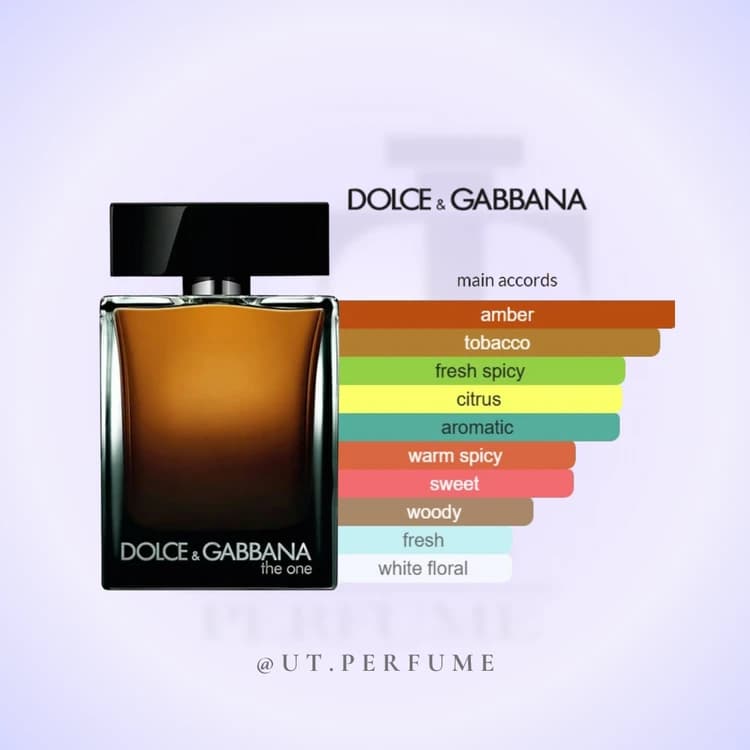عطر دولچه گابانا د وان مردانه | Dolce Gabbana – The One