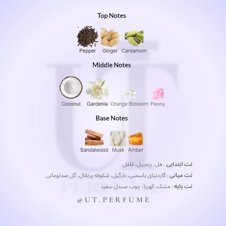 عطر ورساچه کریستال نویر (ورساچه مشکی) زنانه | Versace – Crystal Noir — تصویر ۳