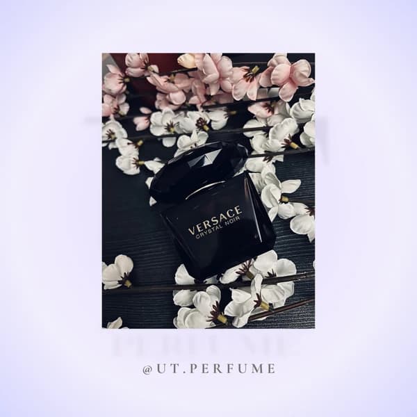 عطر ورساچه کریستال نویر (ورساچه مشکی) زنانه | Versace – Crystal Noir — تصویر ۵