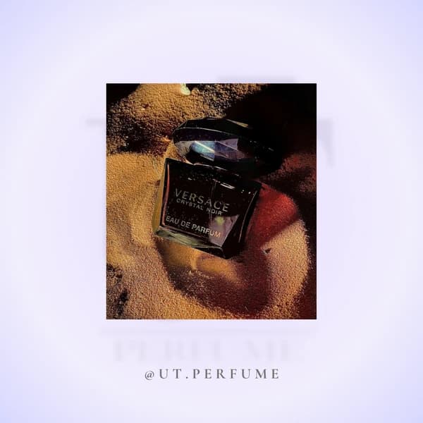 عطر ورساچه کریستال نویر (ورساچه مشکی) زنانه | Versace – Crystal Noir — تصویر ۶