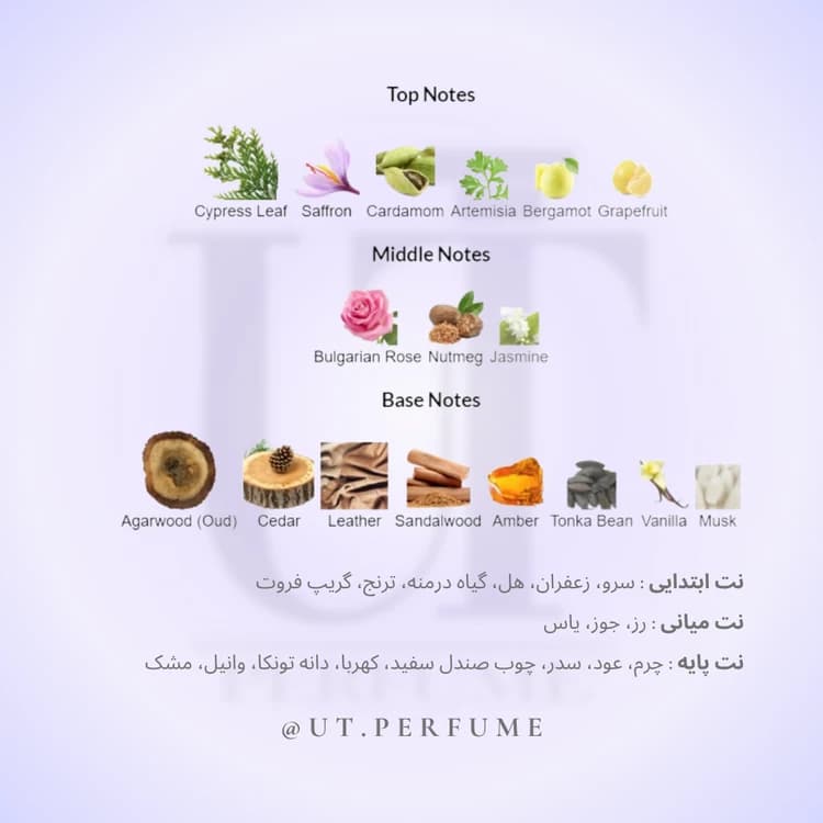 عطر پنهالیگونز هالفتی | Penhaligon’s – Halfeti — تصویر ۳