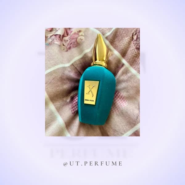عطر زرجوف اربا پورا | Xerjoff – Erba Pura — تصویر ۶