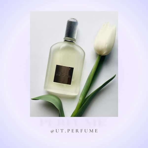 عطر تام فورد گری وتیور مردانه | Tom Ford – Grey Vetiver — تصویر ۵