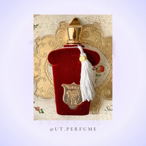عطر زرجوف کازاموراتی ایتالیکا | Xerjoff – Casamorati Italica — تصویر ۵