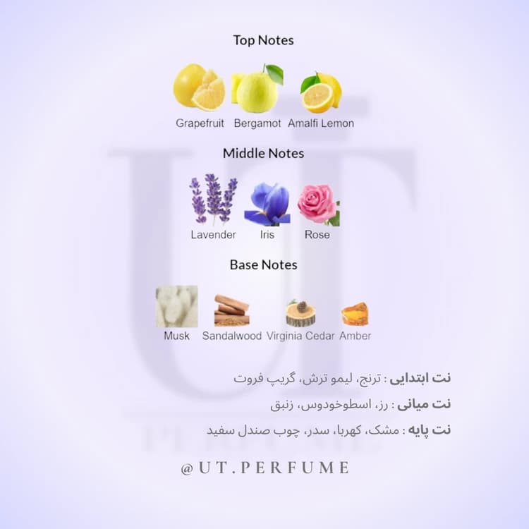 عطر زرجوف کازاموراتی مفیستو مردانه | Xerjoff – Casamorati Mefisto — تصویر ۳