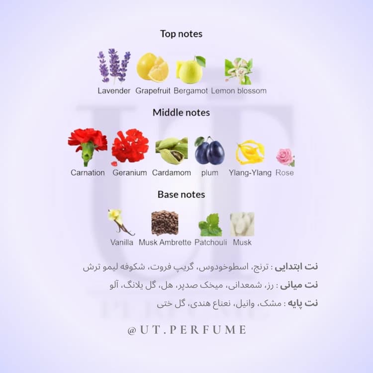 عطر زرجوف کازاموراتی رجیو | Xerjoff – Casamorati Regio — تصویر ۳