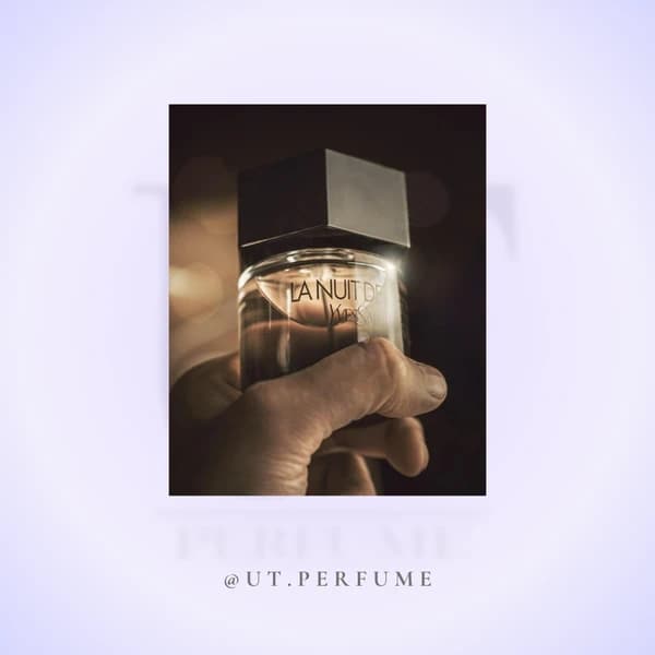عطر ایو سن لورن لا نویت لهوم مردانه | Yves Saint Laurent – La Nuit de L`Homme — تصویر ۵