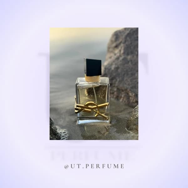 عطر ایو سن لورن لیبره زنانه | Yves Saint Laurent – Libre — تصویر ۶
