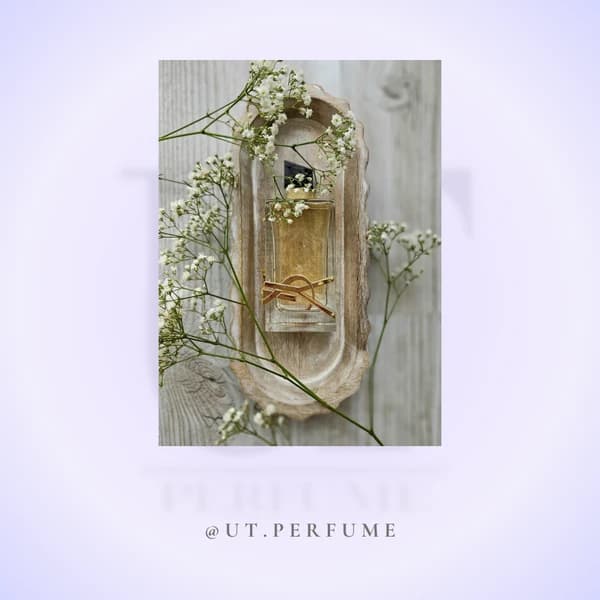 عطر ایو سن لورن لیبره زنانه | Yves Saint Laurent – Libre — تصویر ۵