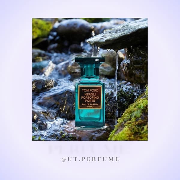 عطر تام فورد نرولی پورتوفینو | Tom Ford – Neroli Portofino — تصویر ۶