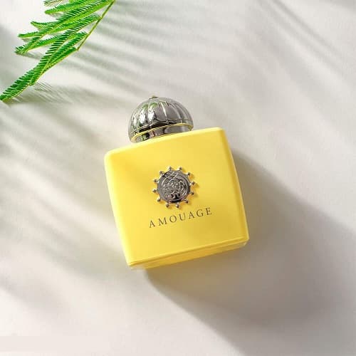 تستر ادوپرفیوم ادکلن آمواج لاو میموسا زنانه | Amouage Love Mimosa حجم 100میل — تصویر ۳