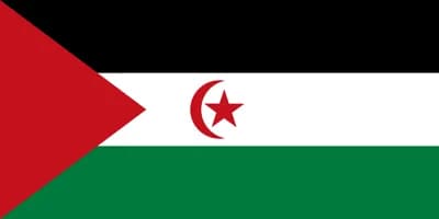 پرچم کشور جمهوری دموکراتیک عربی صحرا