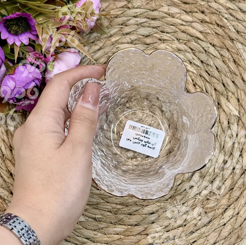 کاسه گود گل برفی پیرکس — تصویر ۶