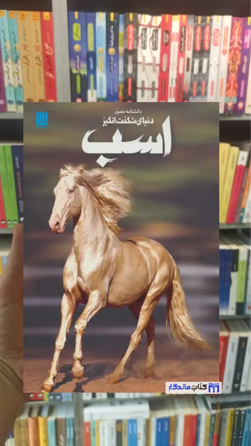 دانشنامه مصور دنیای شگفت انگیز اسب کلاتون براک سایان
