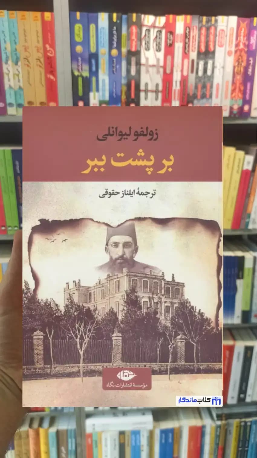 بر پشت ببر زولفو لیوانلی نگاه