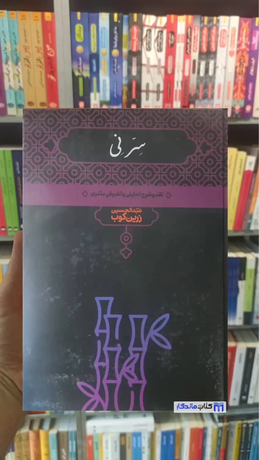 سر نی زرین کوب دوجلدی علمی