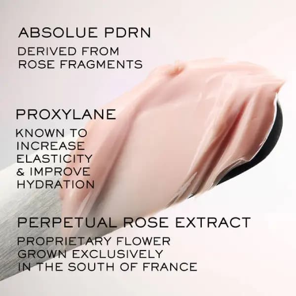کرم جوانساز و لیفتکننده لانکوم مدل Absolue Longevity Soft Cream — تصویر ۴