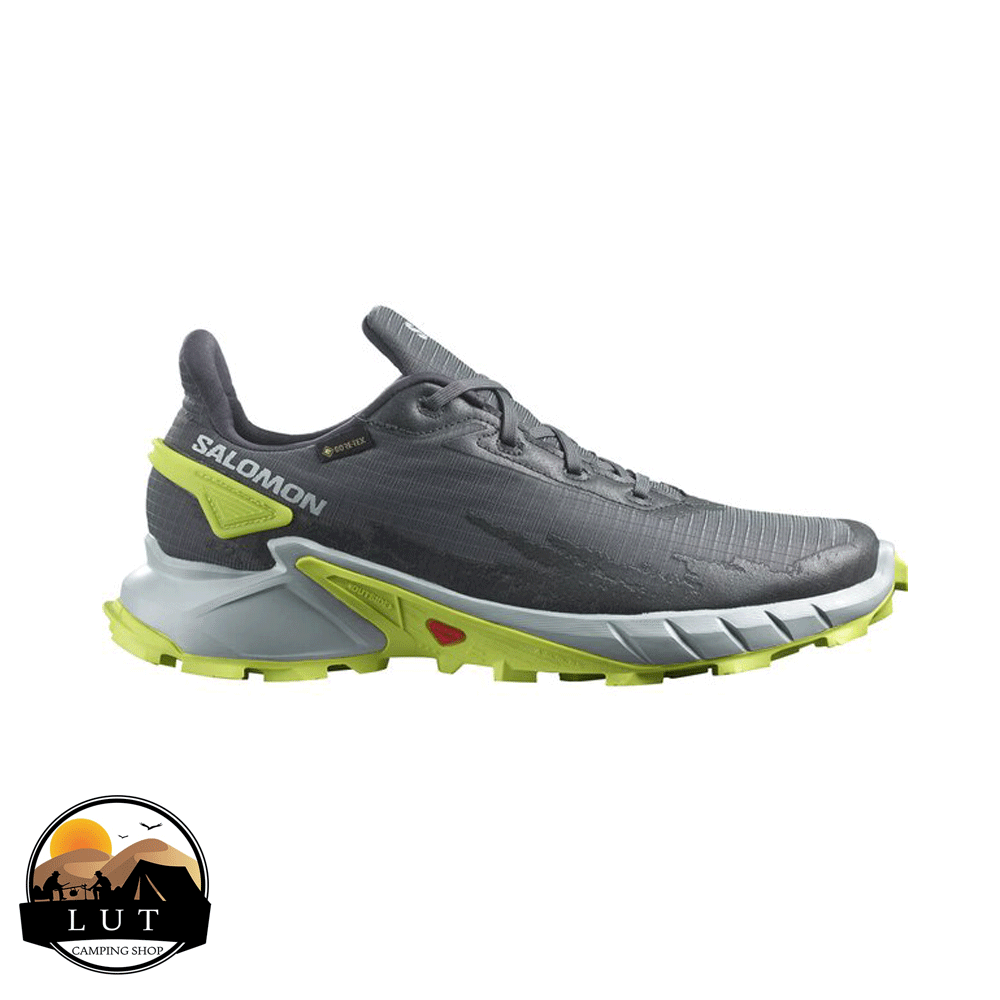 کفش سالامون ALPHACROSS 4 GTX GORE-TEX