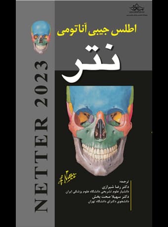 اطلس آناتومی نتر (ویرایش 8) — تصویر ۲