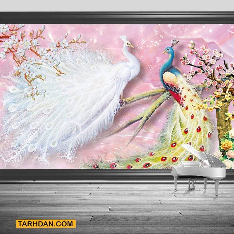 کاغذ دیواری عکس طاووس ها