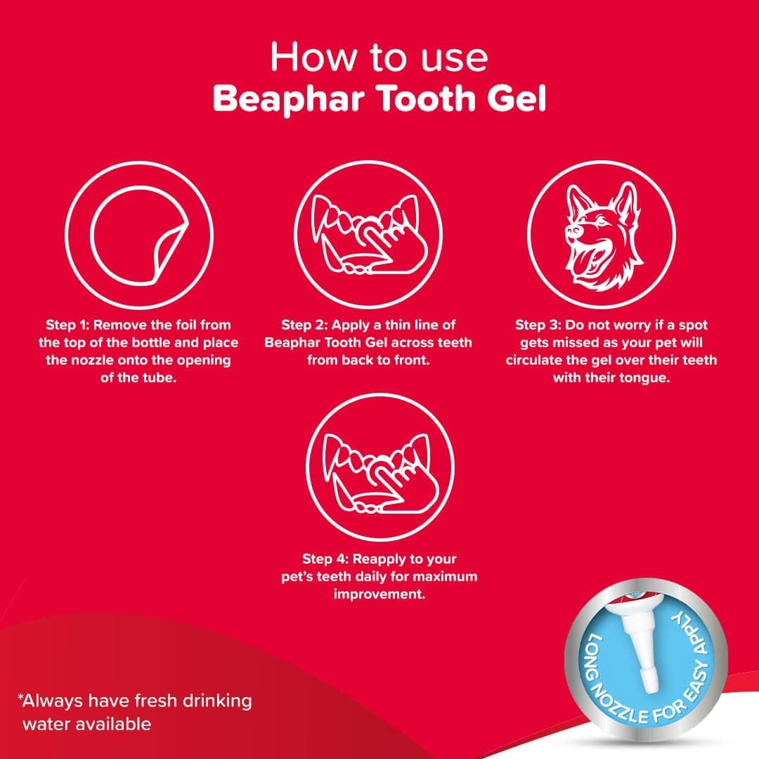 ژل دندان سگ و گربه بیفار جگر Beaphar ToothGel وزن 100 گرم — تصویر ۶