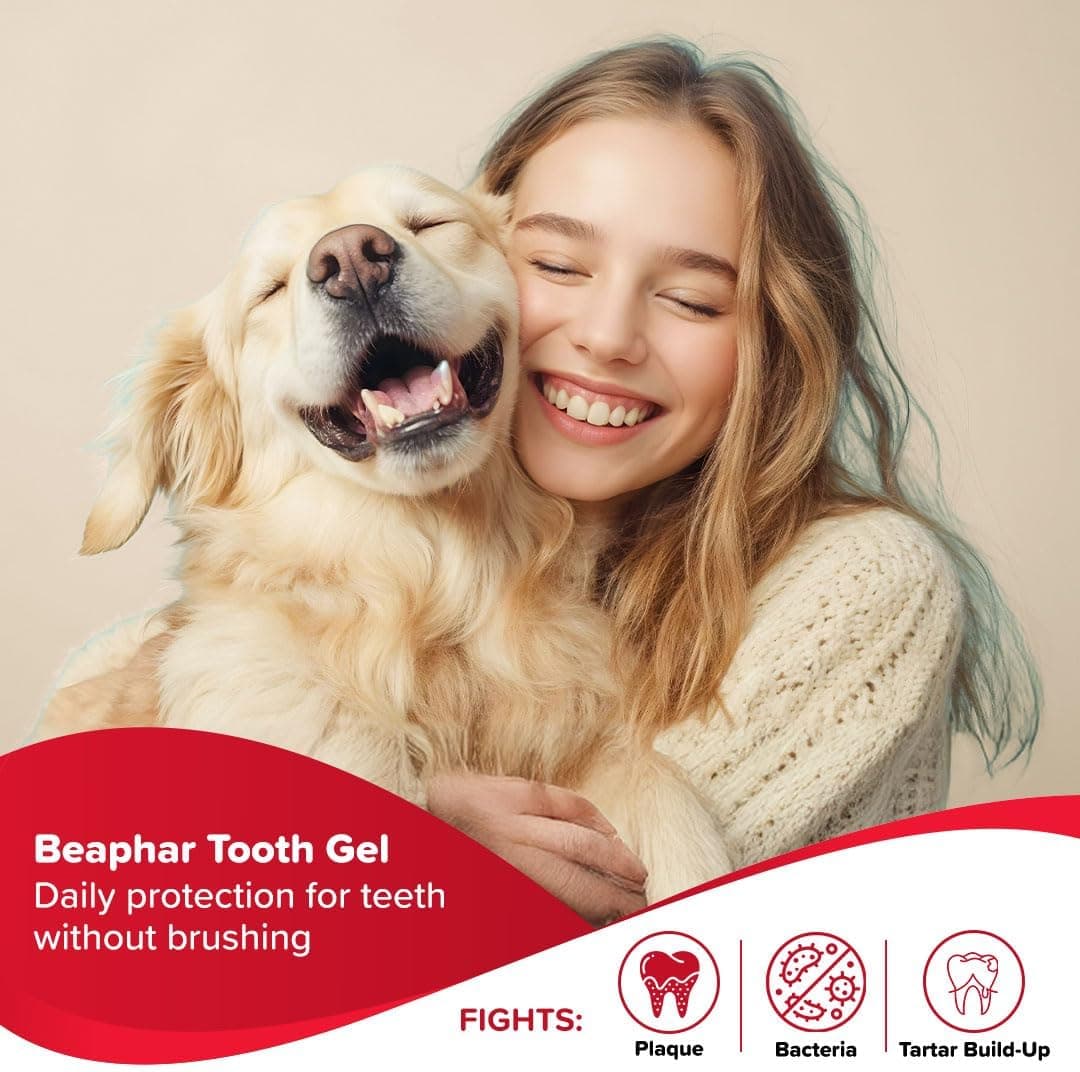 خمیر دندان سگ و گربه بیفار جگر Beaphar ToothPaste وزن 100 گرم — تصویر ۳