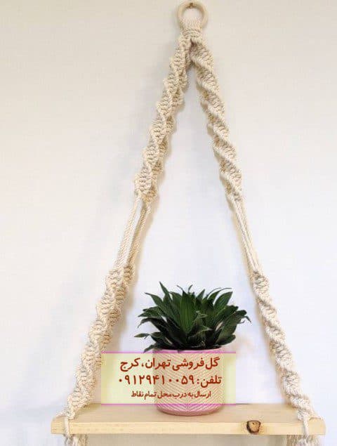 فروش دراسنا کامپکت برای تزئین محیط‌های کاری