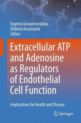 Extracellular ATP and Adenosine as Regulators of Endothelial Cell Function: Implications for Health and Disease