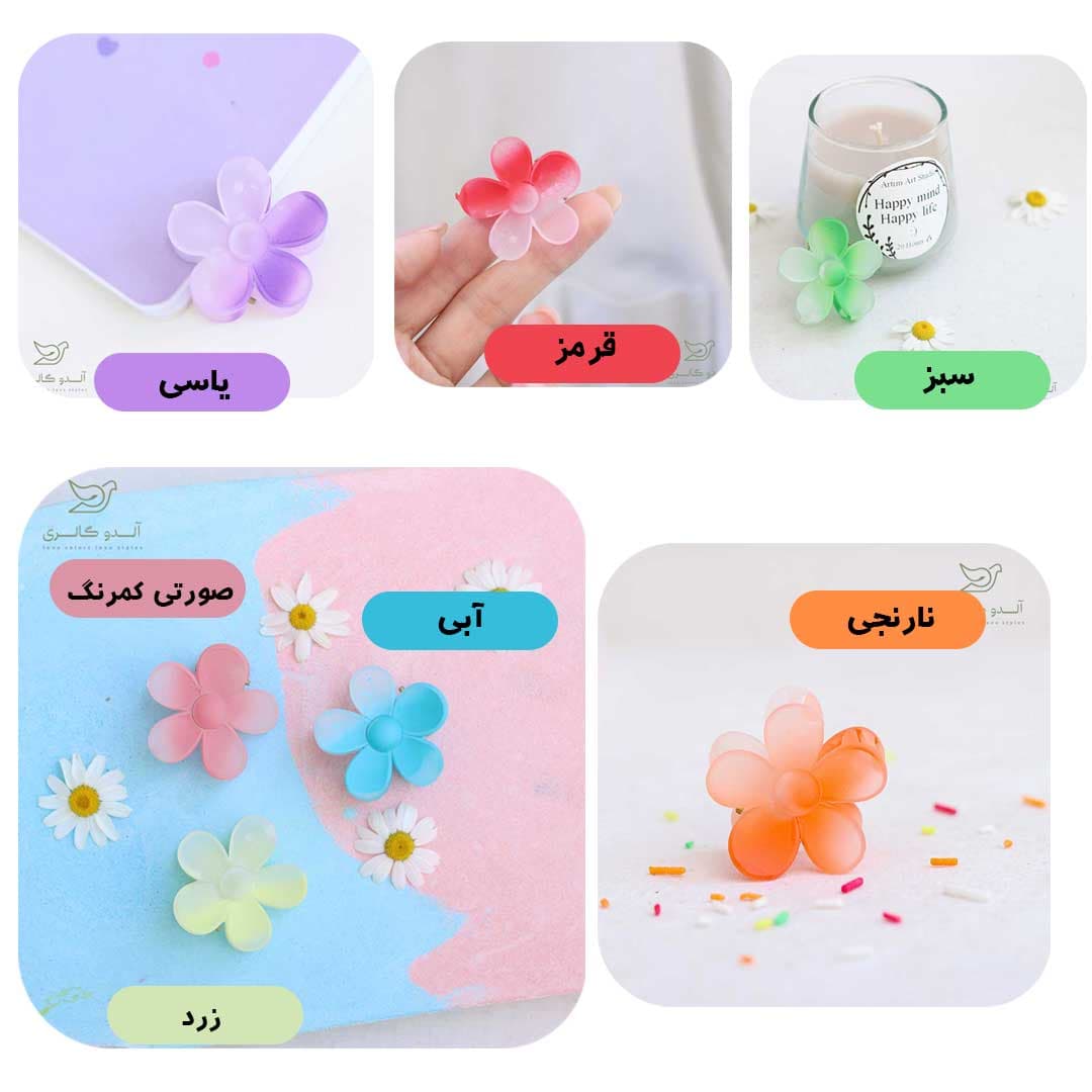 کلیپس شکوفه — تصویر ۳