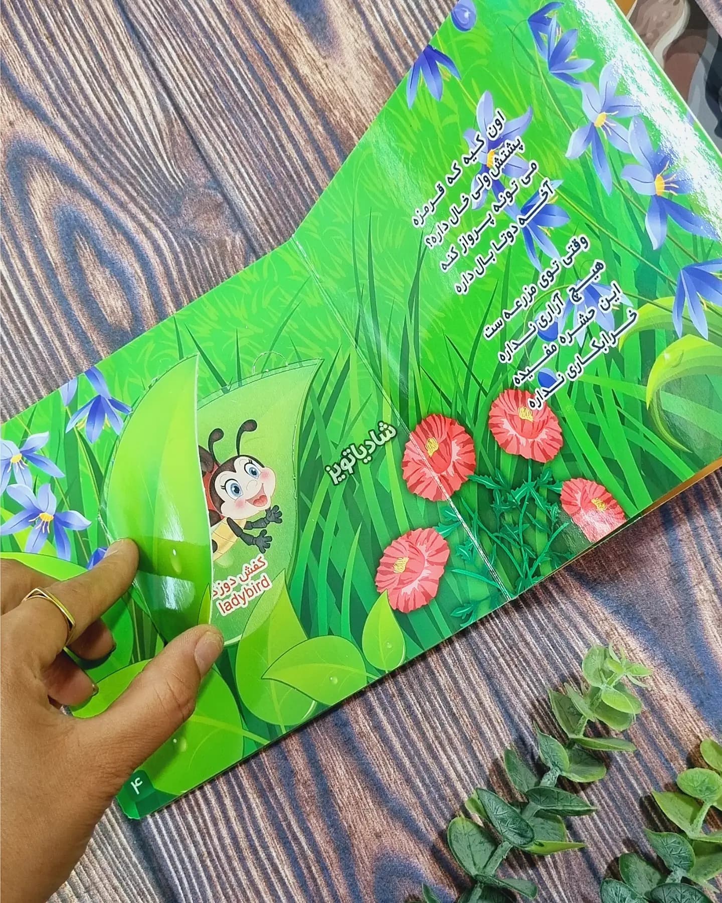 بخوان و حدس بزن — تصویر ۴