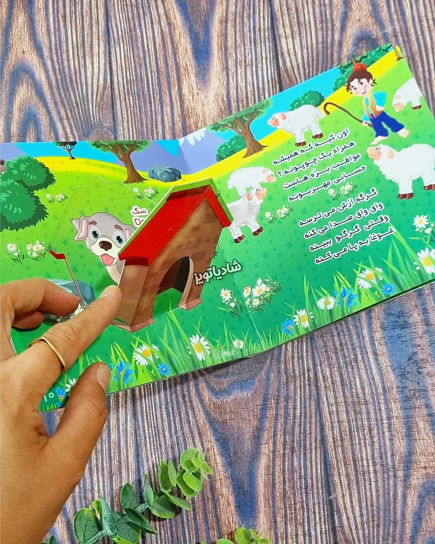 بخوان و حدس بزن — تصویر ۸