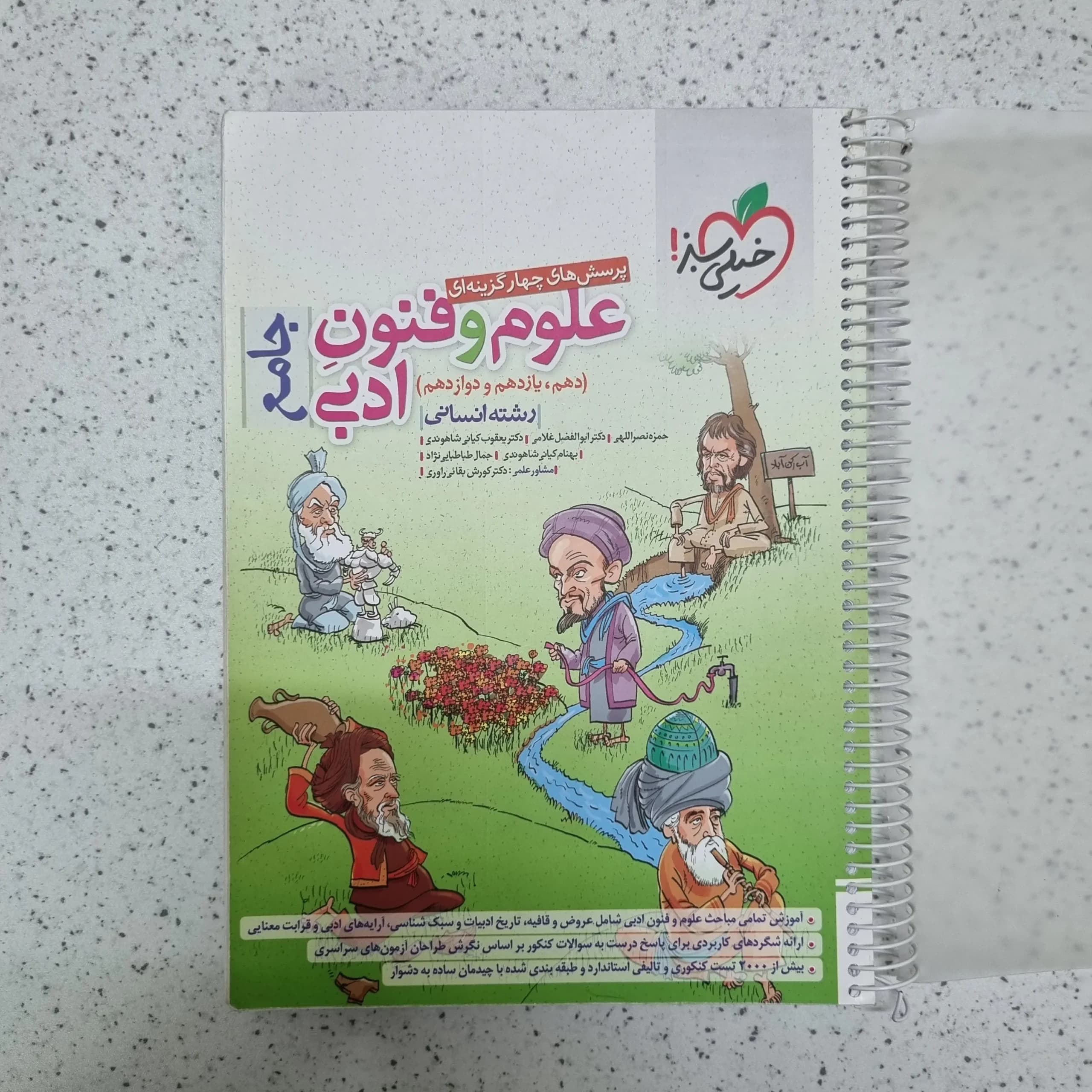 علوم و فنون ادبی جامع خیلی سبز 1401(دست دوم)