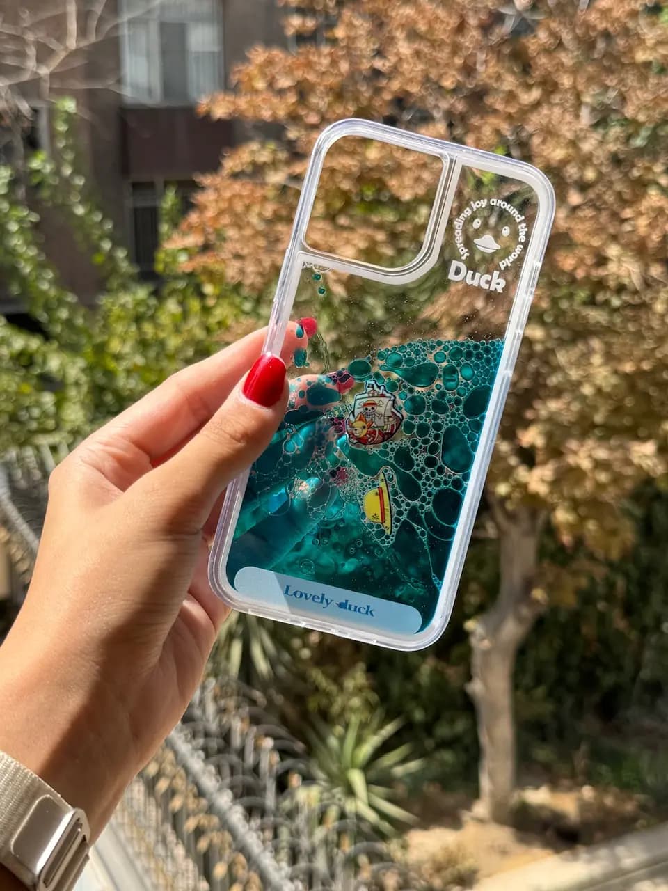 قاب آکواریومی کشتی — تصویر ۵