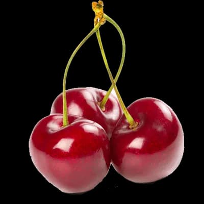 نهال گیلاس لیندا