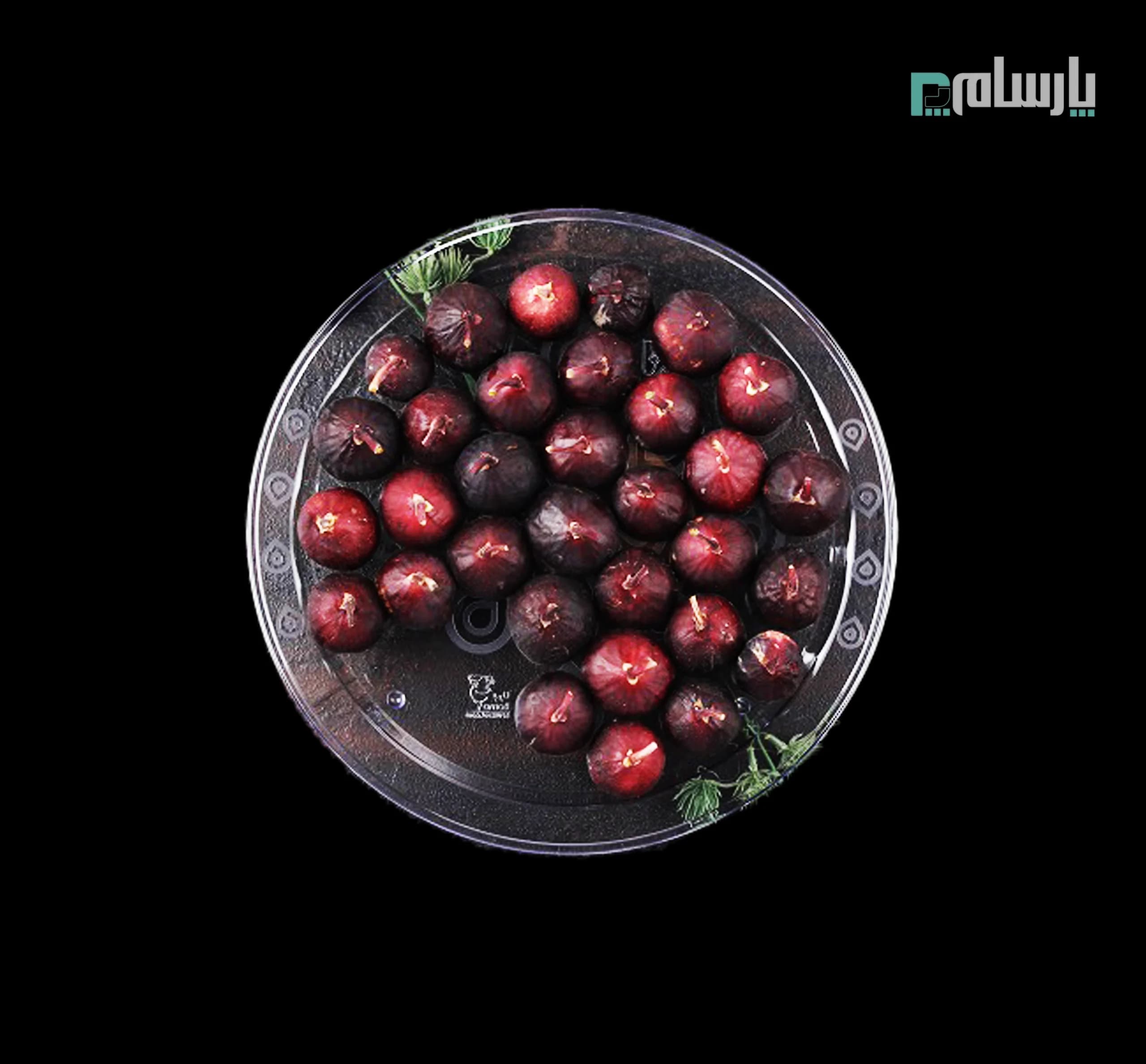 سینی ریما کریستالی 202 گرد متوسط شفاف برنا — تصویر ۲