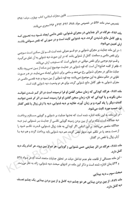 تاملات شرحی بر قانون مجازات اسلامی دکتر محسن برهانی — تصویر ۷
