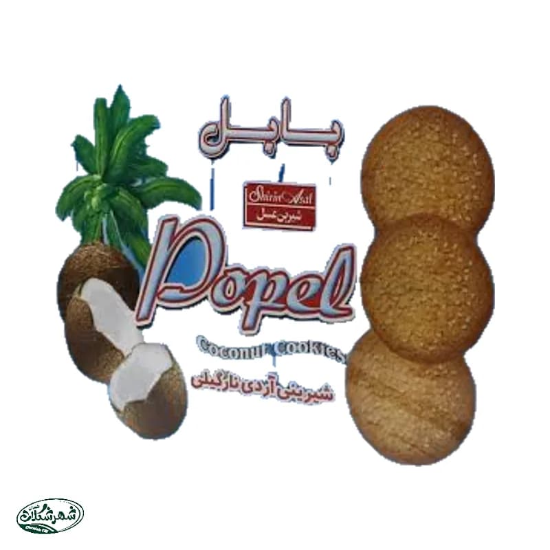 بیسکوییت پاپل شکلات نارگیل شیرین عسل 240گ جعبه