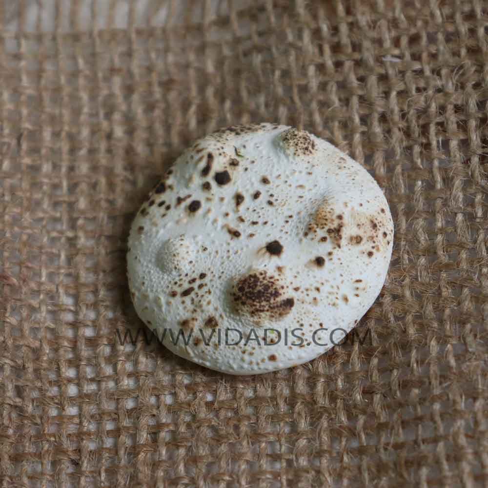 قالب سیلیکونی نان — تصویر ۳