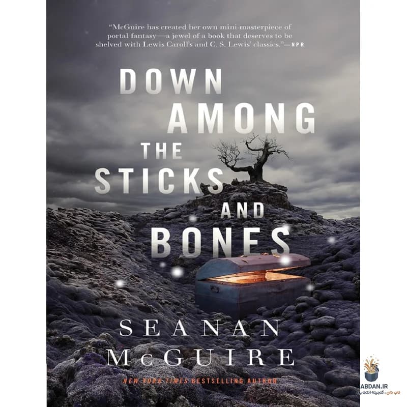کتاب Down Among the Sticks and Bones (پایین در میان چوب‌ها و استخوان‌ها) نسخه انگلیسی PDF | شنان مک‌گوایر