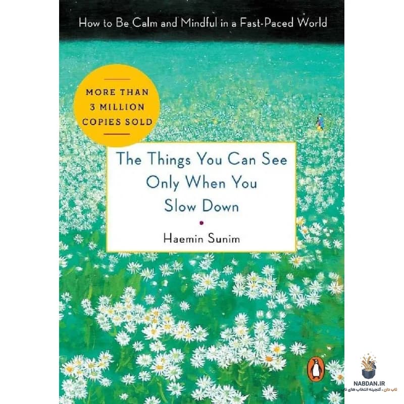 کتاب The Things You Can See Only When You Slow Down (چیزهایی که فقط وقتی آرام می‌شوید می‌بینید) نسخه انگلیسی PDF | هائمین سونیم