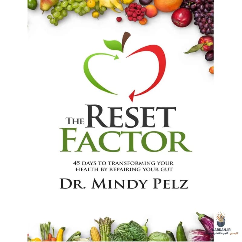 کتاب The Reset Factor (عامل بازنشانی) نسخه انگلیسی PDF | میندی پلز