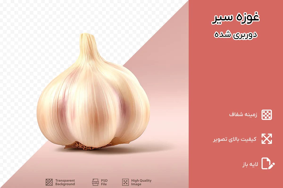 PNG غوزه سیر دوربری شده