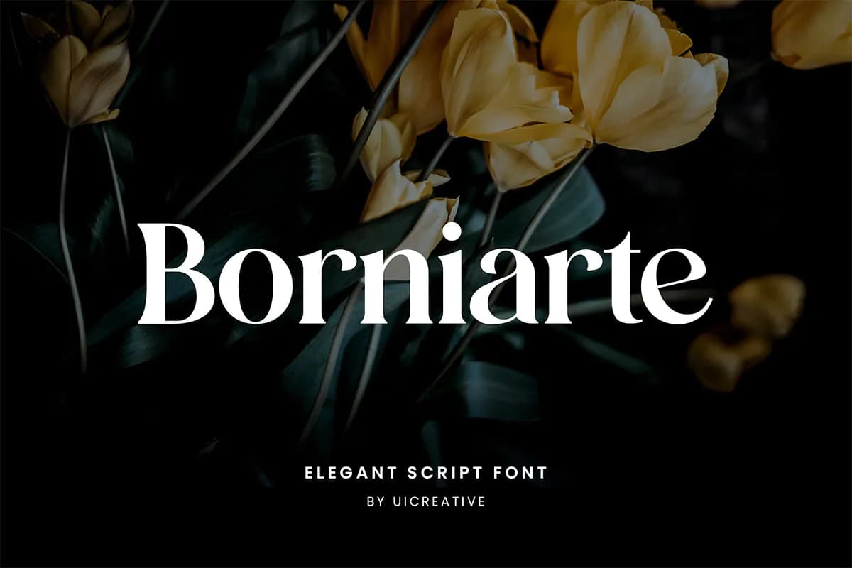 فونت شیک و مدرن Borniarte