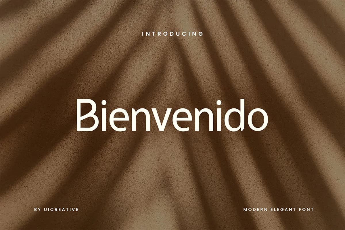 فونت مدرن و زیبای Bienvenido