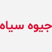 دانلود رمان جیوه سیاه اثر رز مشکی