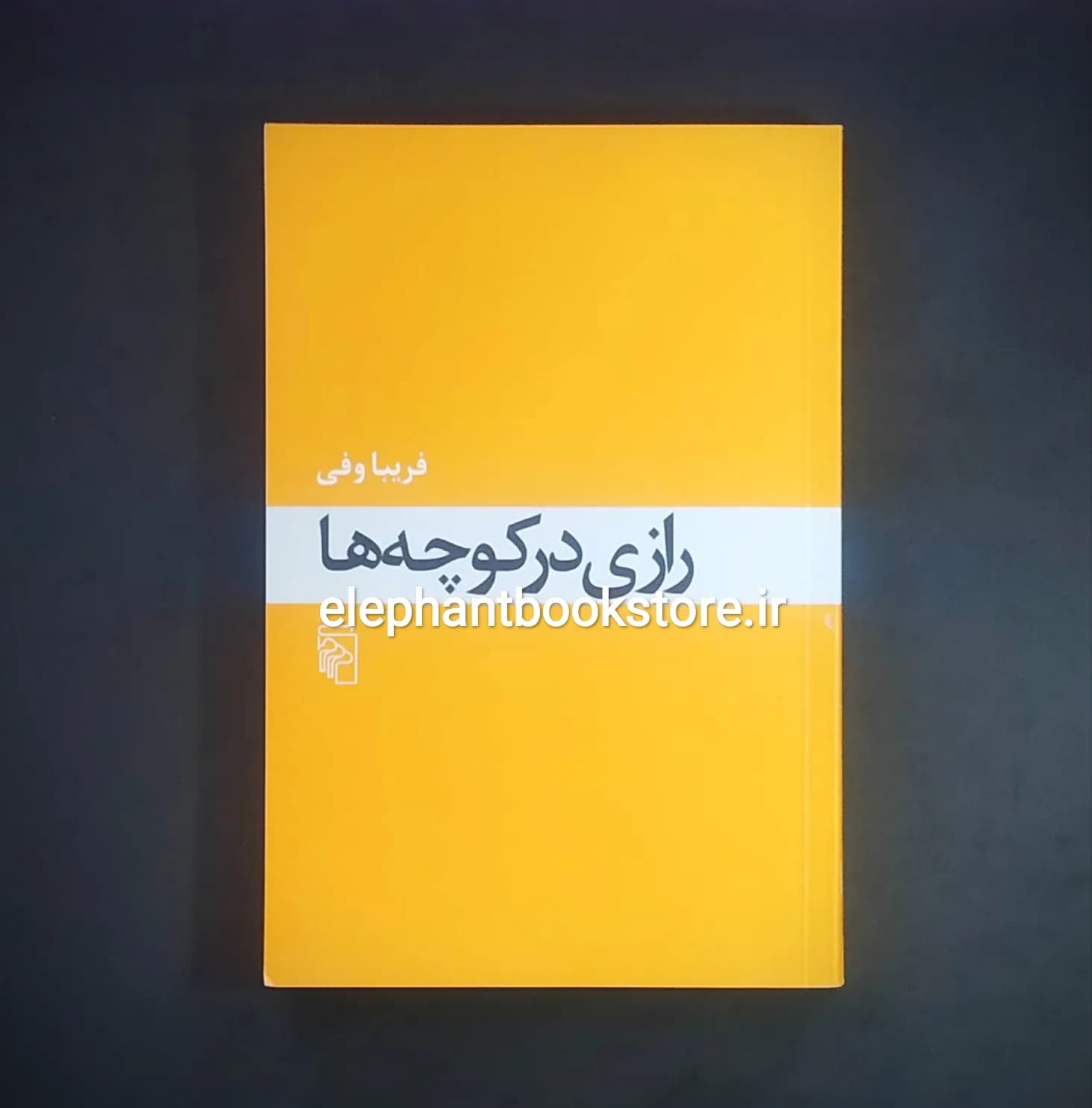کتاب رازی در کوچه ها اثر فریبا وفی
