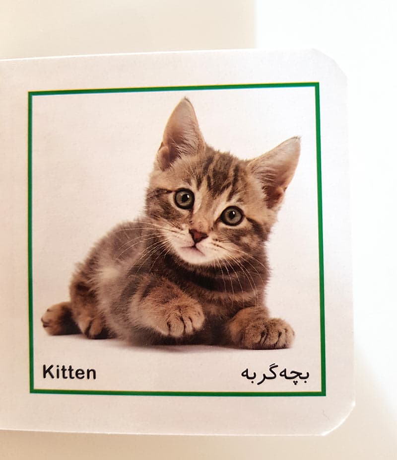 کتاب این چیه اون چیه – نی نی حیوانات — تصویر ۳