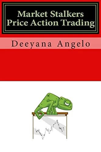 و دانلود نسخه کامل کتاب زبان اصلی Market Stalkers: Price Action Trading: high probability supply demand trading Kindle Edition PDF | دانلود کتاب خارجی